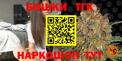 сатива Лесосибирск