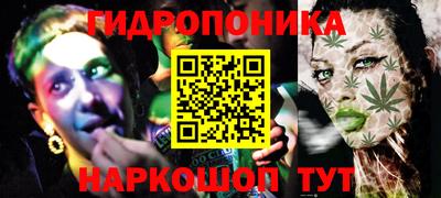 сатива Лесосибирск