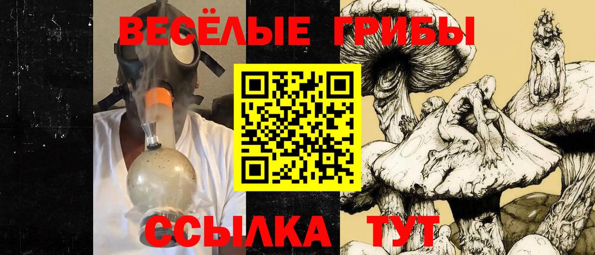 Галлюциногенные грибы GOLDEN TEACHER Йошкар-Ола