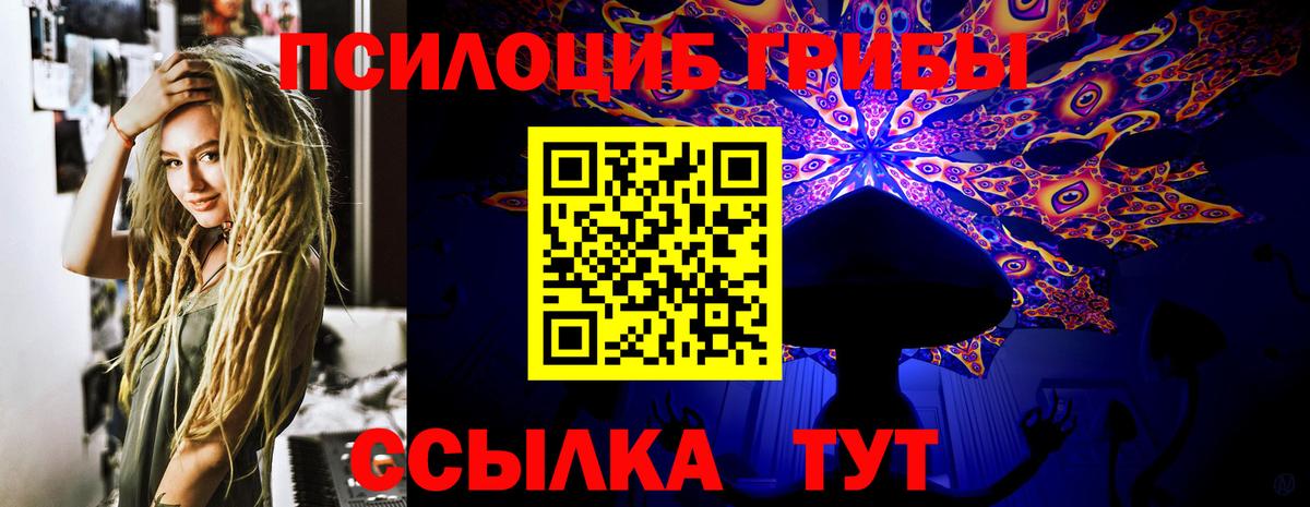 Йошкар-Ола  Галлюциногенные грибы MAGIC MUSHROOMS  Вход с VPN  Галлюциногенные грибы прущие грибы 